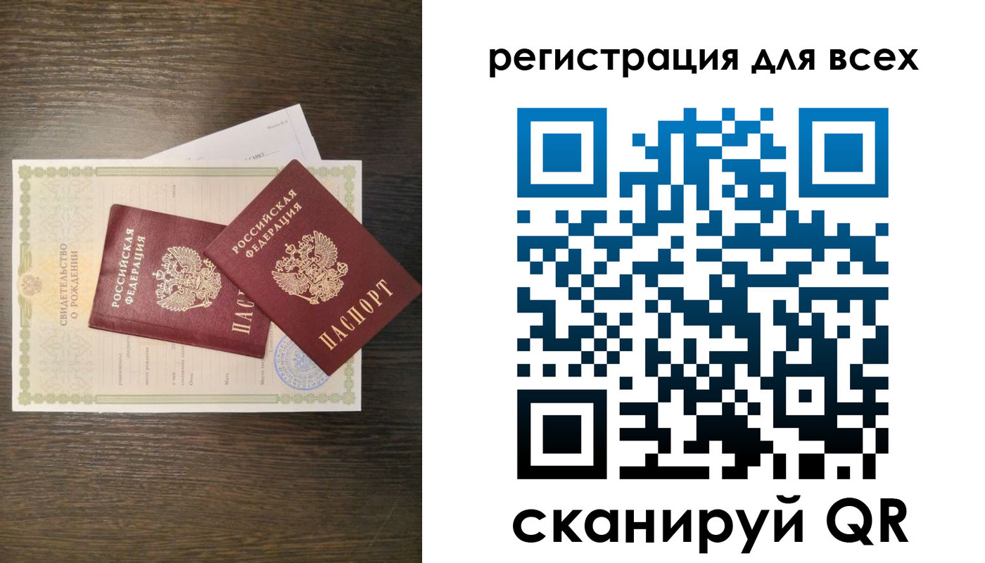 прописка поиск в Павловске